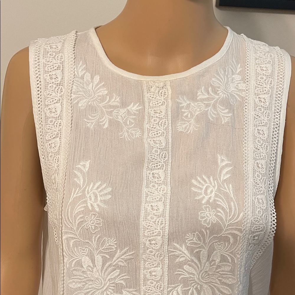 F21 Sheer Crop Top with Lace & Embroidery